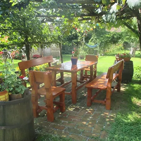 Keknefelejcs Vendeghaz Guest house *