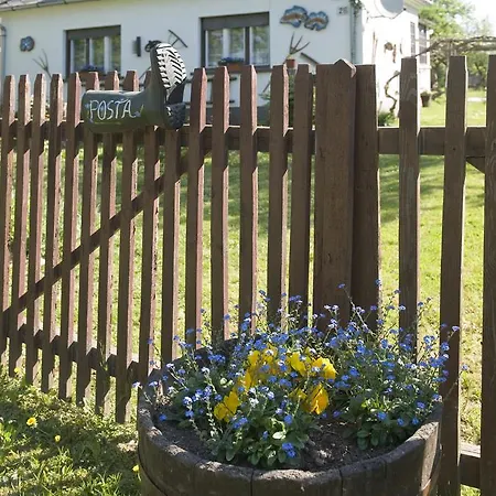 Keknefelejcs Vendeghaz Guest house Szatta
